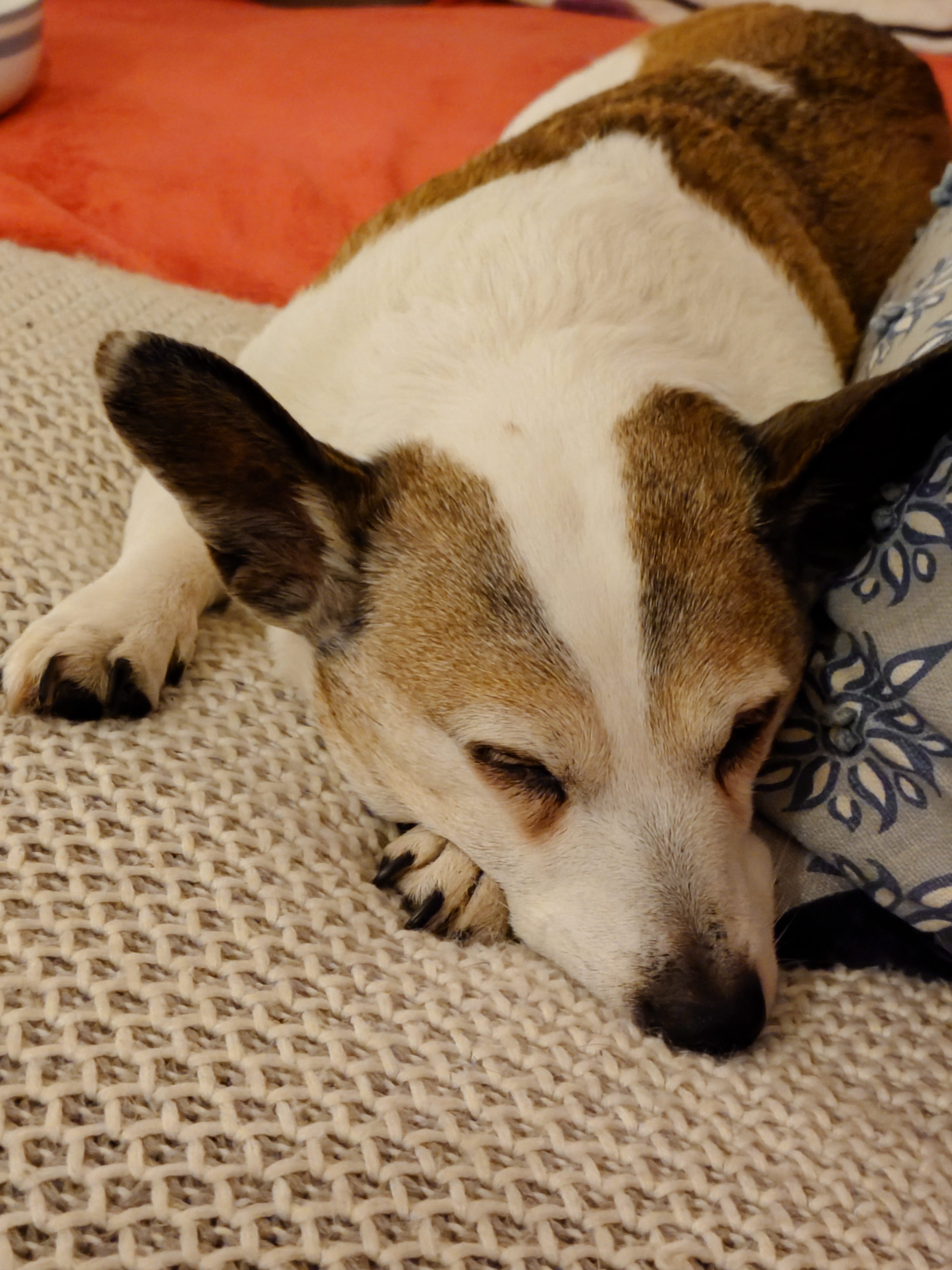 The Power of Rest